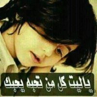 شبواني في عدن (@ihvjpnu3kvh3pfa) Twitter profile photo