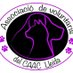 Associació de Voluntaris del Caac Lleida (@asoc_caaclleida) Twitter profile photo