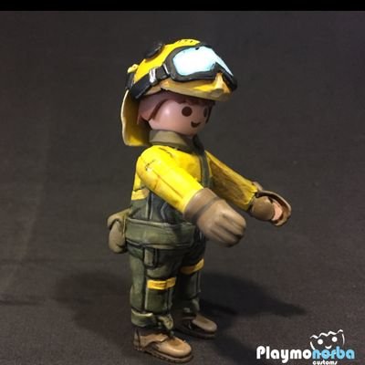 Bombero Forestal Conductor
Técnico Equipos de Intervención y Refuerzo de Incendios Forestales
Bombero Forestal
Técnico Superior PRL