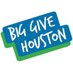 Big Give Houston (@BigGiveHouston) Twitter profile photo