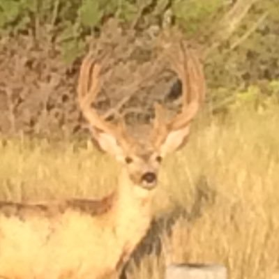 BRCMatt's profile picture. Senior @ Milford Public Schools 🏀 is life