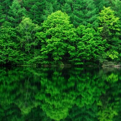 princy_moses's profile picture. 