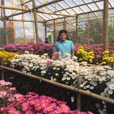 AliySyauqi's profile picture. 