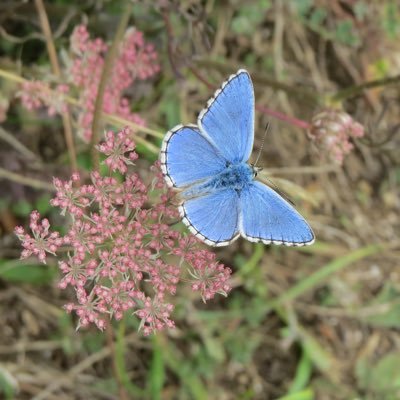 davephillips59's profile picture. 