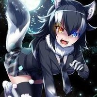 foxy love (white Rabbit) (@darklover66666) 's Twitter Profile
