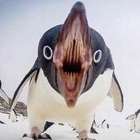 Andrew (@snowy53553418) 's Twitter Profile