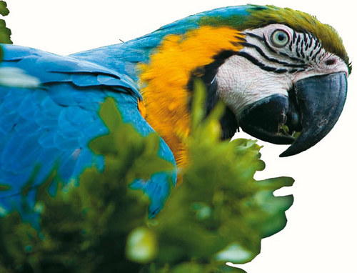 revistambiental's profile picture. Revista Com Ciência Ambiental tem o objetivo de disseminar informações e promover o debate acerca das principais temáticas socioambientais.
Fone:(11)2441-4893