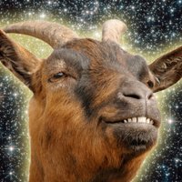 Cryptoting2 (@cryptoting2) 's Twitter Profile