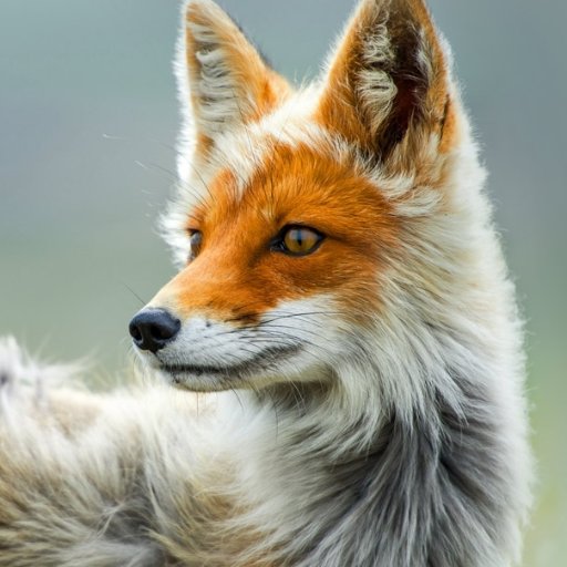 AnneLiseRagon's profile picture. Fr/Eng | 🚫 DNI if you're Pro-NFT, crypto or AI