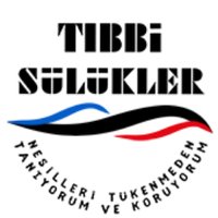 Tıbbi Sülükler Yok Olmadan (@neslitukenmeden) Twitter profile photo