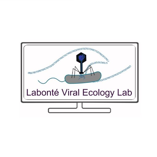 The viral ecology laboratory focuses on the role of viruses in aquatic environments through the characterization of their relationships with their hosts.