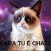 Gatomaluco7dias (@fabiochagas2016) Twitter profile photo Gatomaluco7dias (@fabiochagas2016) Twitter profile photo