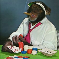 Monkey Casino Monkey Casino