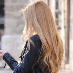 arynrebelle's profile picture. persa nelle mie fantasie | JayBrd | writer | animal lover | multifandom | @EataliFannibals