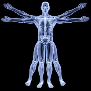 ANATOMY-THE STUDY OF INTERNAL WORKING PARTS. Business Anatomy vs physical anatomy. Pain points in our body are felt instantly. Business pain points get ignored