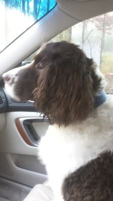 pjacka1's profile picture. living with ILD.