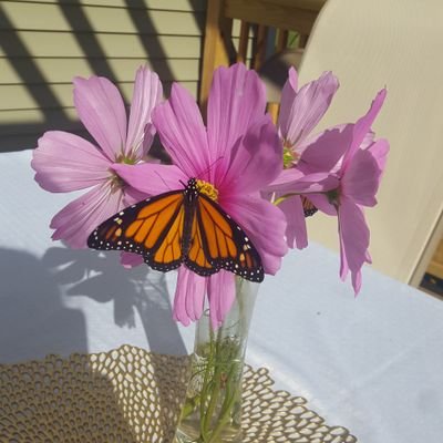 KGraham0315's profile picture. Assistant Principal Newark Education Center