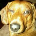 Jeff Read - @JRead4 - Twitter