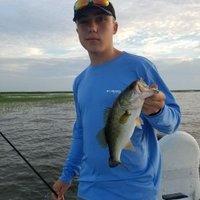 Luke  Justice (@joshjustfish) Twitter profile photo