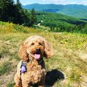 Patrick Hill - @hilly112 - Twitter