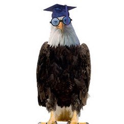Pecos High School College and Career Ready Info. FAFSA, Scholarships, College Students, Scholarships, Careers, Education Statistics