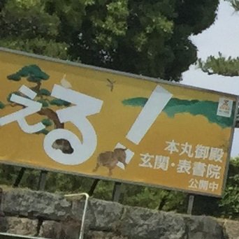 oyaitk's profile picture. ダサいことしか出来ない。