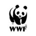 WWF Mesoamérica (@WWF_MAR) Twitter profile photo