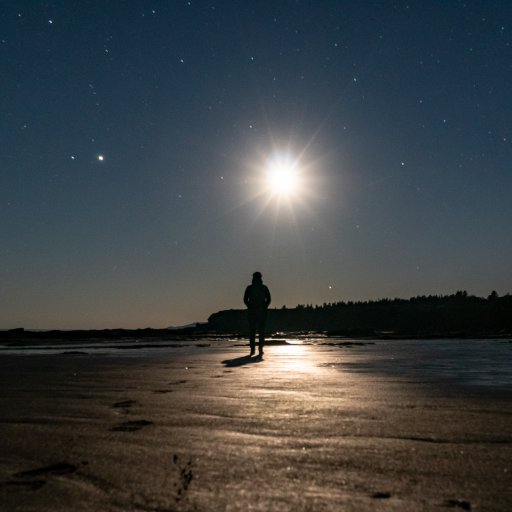 CodiacSm's profile picture. Web developer, photography amateur, sky watcher, animal and nature lover, gardener, cook, dreamer