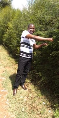 metto_nick's profile picture. Principalled