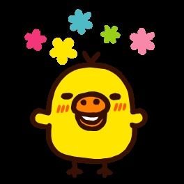 キイロイトリ키이로이토리さんのプロフィール画像