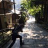 kasairo0928's profile picture. プログラマ
スピーカー、マイコン、LED、3Dプリンター、車、DIY等
今年こそマッチョになります