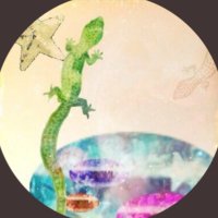 rainbowbird.T.V (@rainbowbirdac) 's Twitter Profile