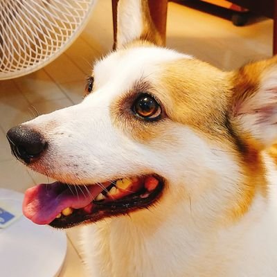都内在住の学生ライダーです。CBR250RR乗ってます。まだバイク初心者ですが宜しくお願いします!(و•̀ㅂ•́)و