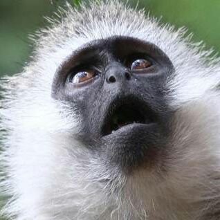 rookiecm's profile picture. 