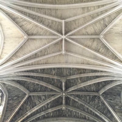 tommuir11's profile picture. 