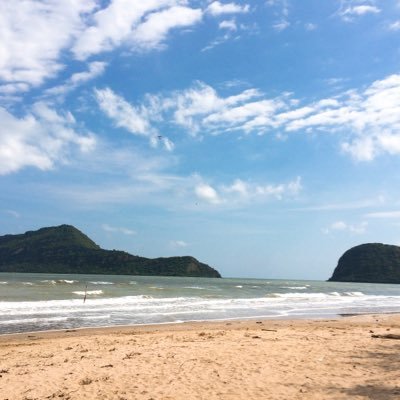 kokokik40918551's profile picture. 