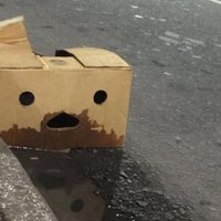 Standarduser (@thedoc83779421) 's Twitter Profile