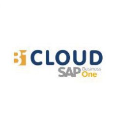 B1 OnCloud is your ERP or Small and Medium Business Systems software solution which is in the Cloud. SAP Business One on Cloud Hosting, SQL HANA.