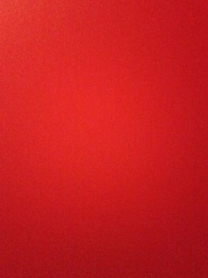 XAN82O1RtuGVcQR's profile picture. 