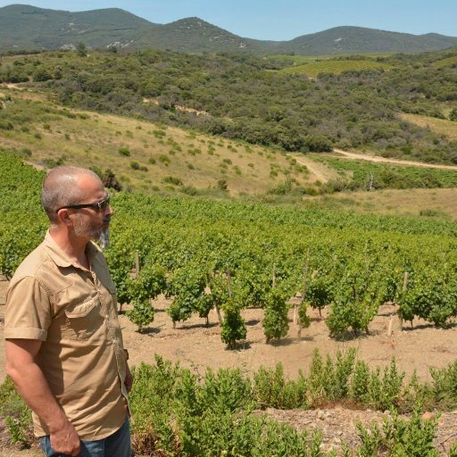Élaborer de grands & beaux vins, les vendre avec conviction & plaisir: notre responsabilité est de retranscrire chaque terroir dans chaque bouteille.