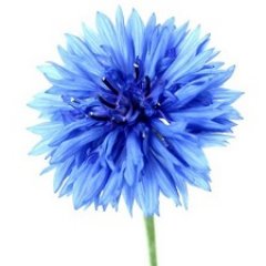 mgppu_research's profile picture. Актуальная информация по результатам исследований проблем современных детей и подростков, анонсы лекций, семинаров и конференций по психологии