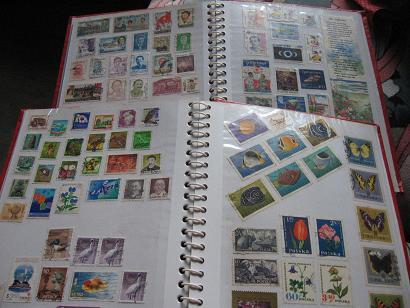 ashleystamps's profile picture. 