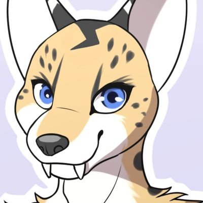 [18+ only] Furry, Bi, Australian, girl, 23 years old. Watch this space for future Serval related antics!