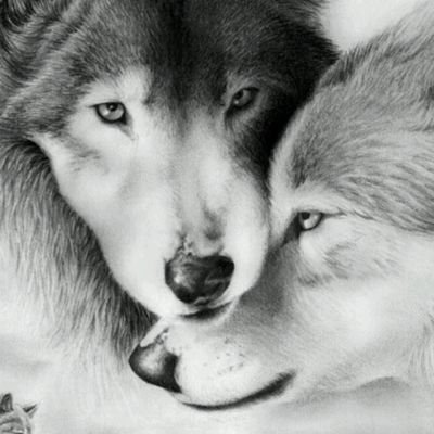 Michell15498769's profile picture. 