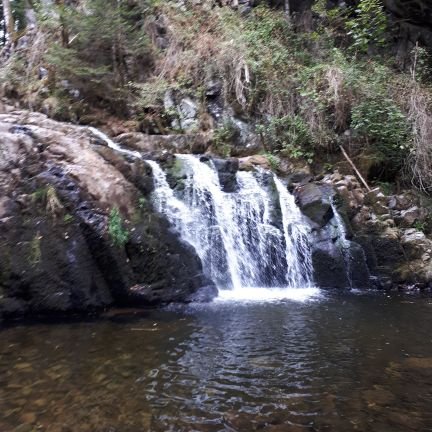 bugelspeler's profile picture. Fiscalist en verder bugelist bij AMDG Beilen