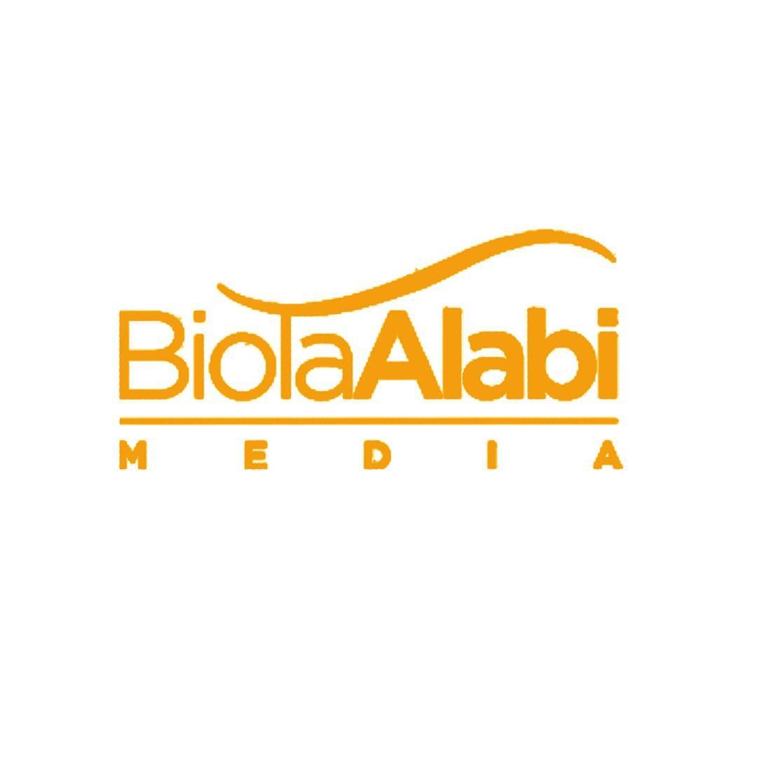 Biola Alabi Media Profile
