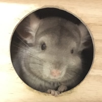 つみれ＊*＊なみさんのプロフィール画像
