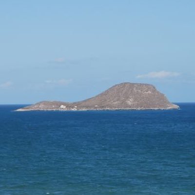 Lydiwinstein's profile picture. Con orden en el desorden