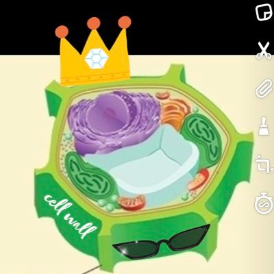 cellwall1011's profile picture. 