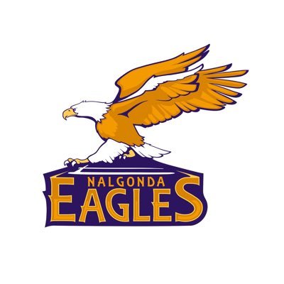 Nalgonda Eagles flag